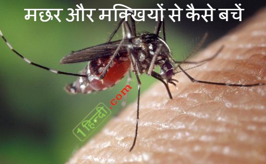 Best Tips to Stay Healthy in Rainy Season in Hindi बारिश के महीने में स्वस्थ रहने के टिप्स