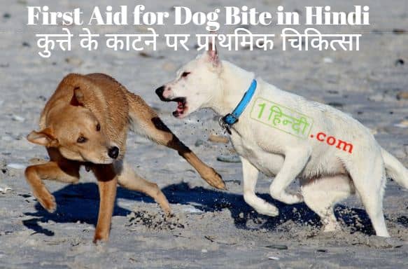 कुत्ते के काटने पर प्राथमिक चिकित्सा First Aid for Dog Bite in Hindi, प्राथमिक चिकित्सा की पूरी जानकारी हिन्दी में First Aid in Hindi [Complete Guide]