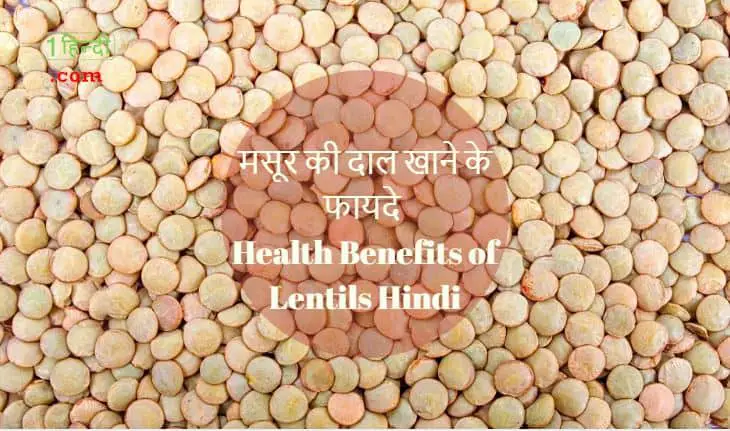 मसूर की दाल खाने के फायदे Health Benefits of Lentils Hindi