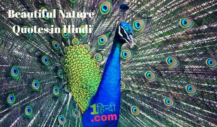 प्रकृति पर सुन्दर सुविचार Beautiful Nature Quotes in Hindi