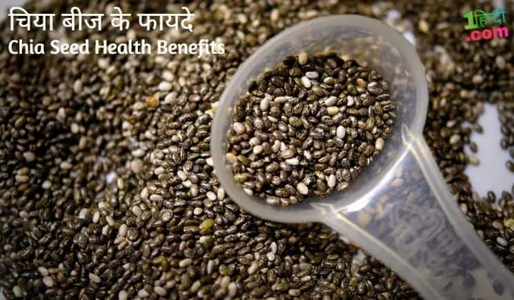 चिया बीज के स्वास्थ्य लाभ Chia Seeds Health Benefits in Hindi