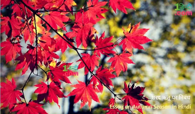 शरद ऋतु पर निबंध हिन्दी में Essay on Autumn Season in Hindi