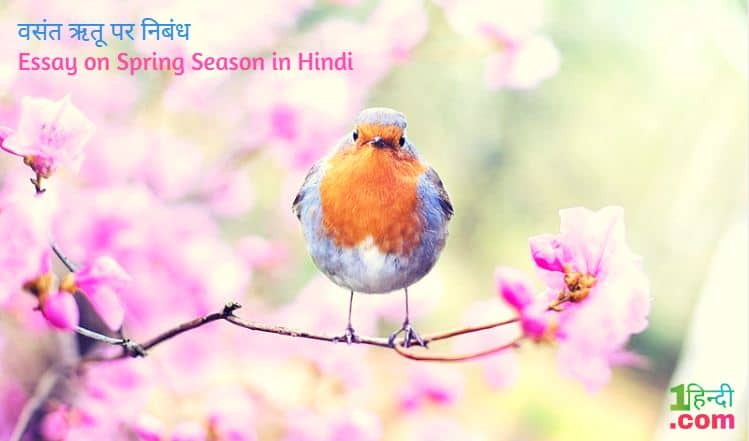 वसंत ऋतू पर निबंध Essay on Spring Season in Hindi
