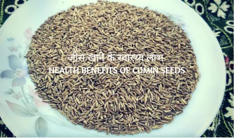 जीरा खाने के स्वास्थ्य लाभ Health benefits of Cumin seeds in Hindi