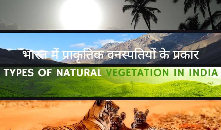 भारत में प्राकृतिक वनस्पतियों के प्रकार Types of natural vegetation in India Hindi