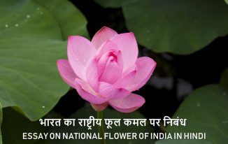 भारत का राष्ट्रीय फूल कमल पर निबंध Essay on National flower of India in Hindi