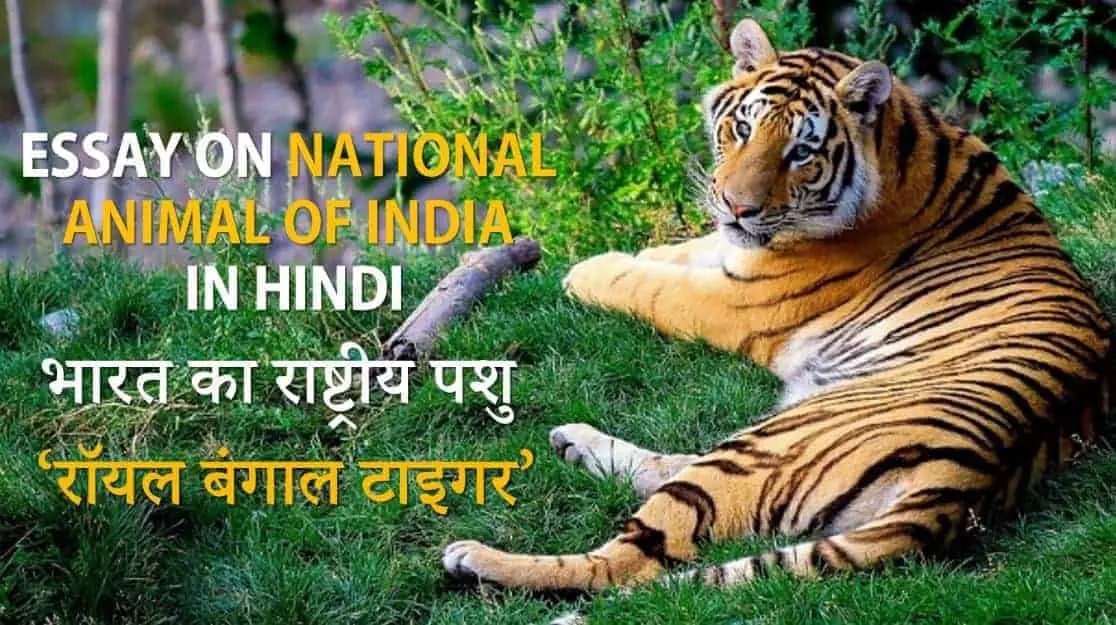 भारत का राष्ट्रीय पशु बाघ पर निबंध Essay on National Animal of India in  Hindi