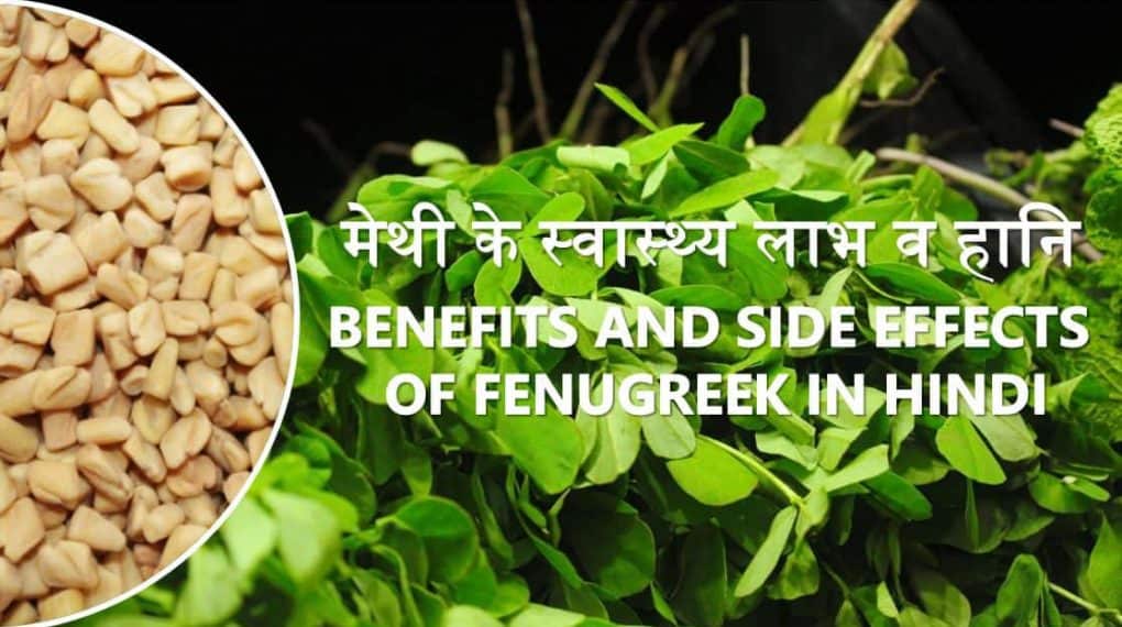 मेथी के स्वास्थ्य लाभ व हानि Benefits and Side Effects of Fenugreek in