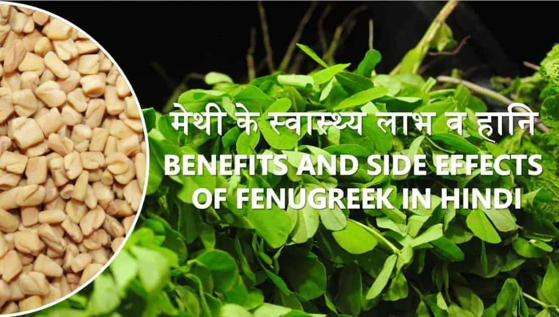 मेथी के स्वास्थ्य लाभ व हानि Benefits and Side Effects of Fenugreek in Hindi