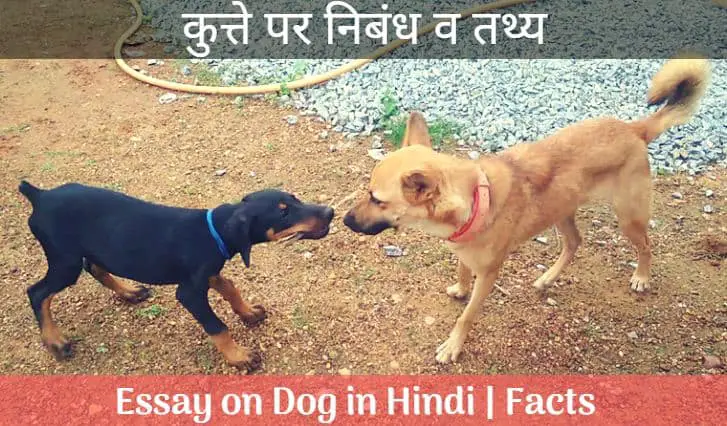 कुत्ते पर निबंध व तथ्य Essay on Dog in Hindi | Facts