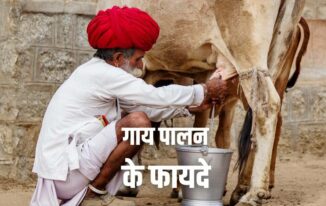 गाय पालन के फायदे Advantages of Cow Farming in Hindi