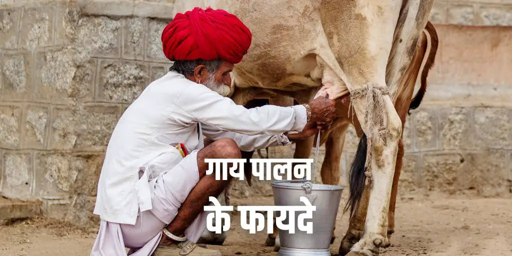 गाय पालन के फायदे Advantages of Cow Farming in Hindi