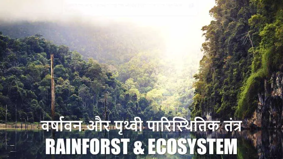 वर्षावन और पृथ्वी पारिस्थितिक तंत्र Rainforest and Earth Ecosystem in Hindi