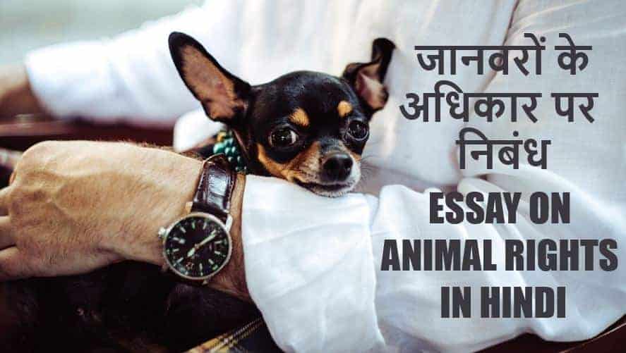 जानवरों के अधिकार पर निबंध Essay on Animal Rights in Hindi