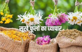 सूखे फूलों का व्यापार Dried Flower Business in Hindi
