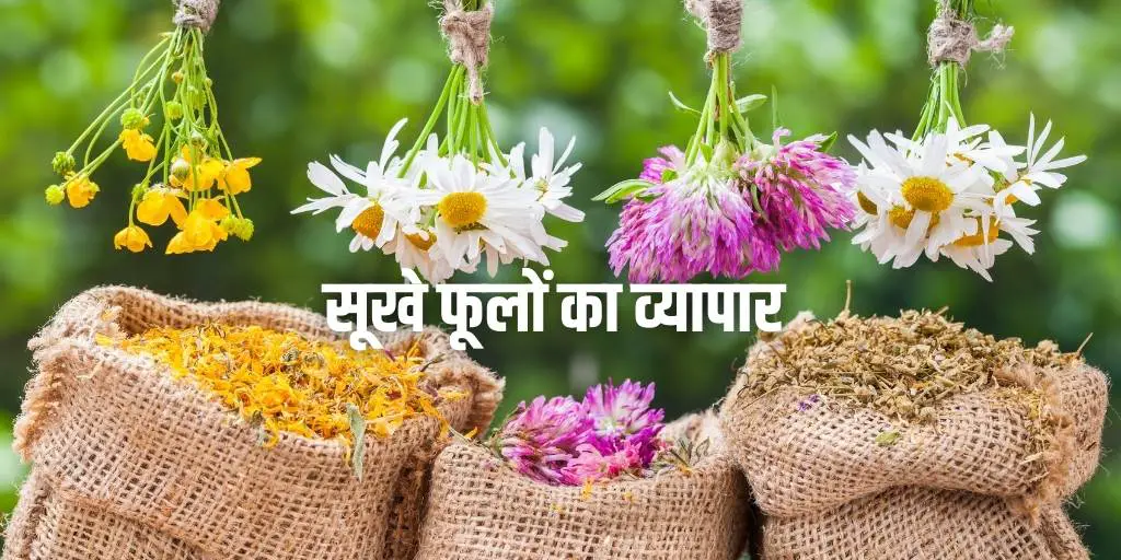 सूखे फूलों का व्यापार Dried Flower Business in Hindi