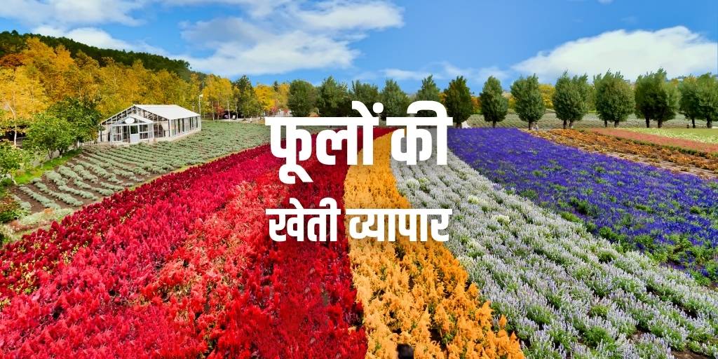 फूलों की खेती व्यापार Flower Production Business in Hindi