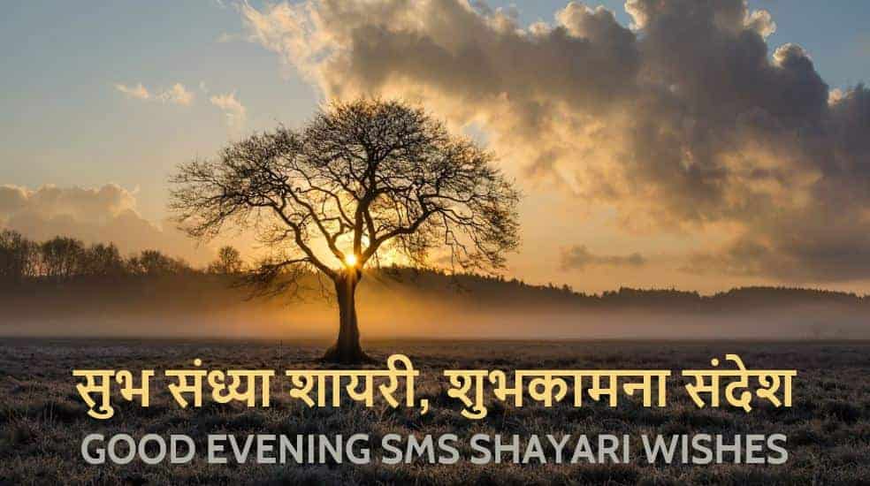 शुभ संध्या शायरी, शुभकामना संदेश Good Evening SMS Shayari Wishes in hindi