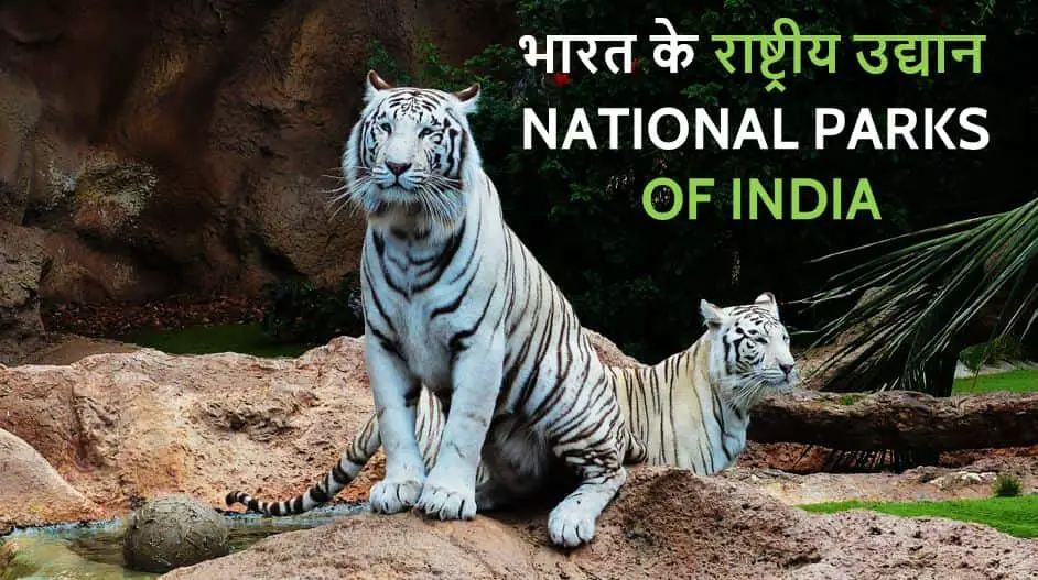 भारत के राष्ट्रीय उद्यान List of National Parks of India in Hindi