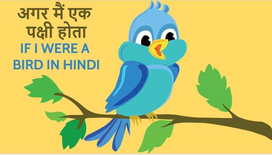 अगर मैं एक पक्षी होता पर निबंध Essay on - If I were a Bird in Hindi
