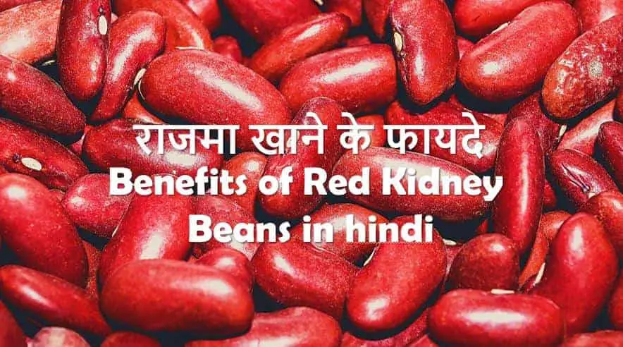 राजमा खाने के फायदे Health Benefits of Red Kidney Beans in Hindi