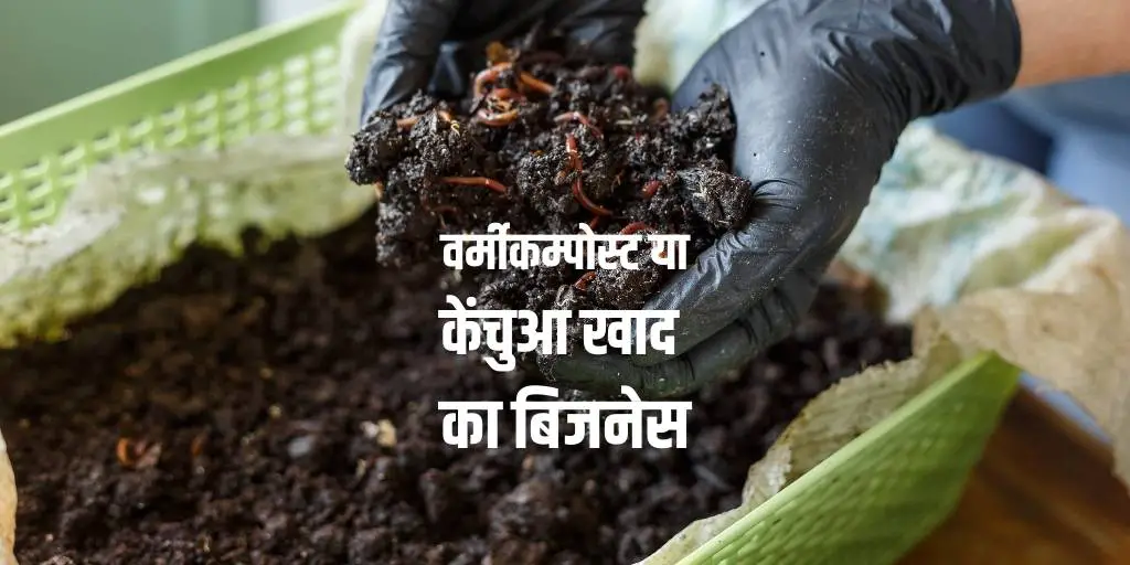 वर्मीकम्पोस्ट या केंचुआ खाद का बिजनेस Vermicompost Business in Hindi