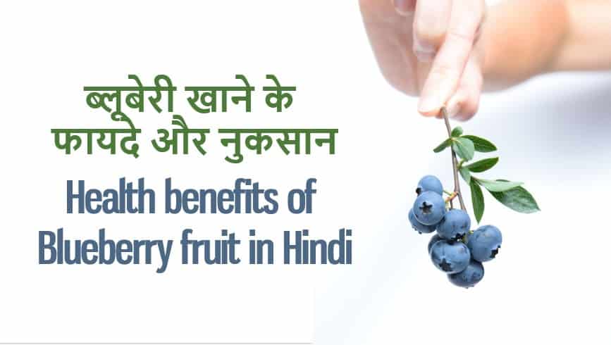ब्लूबेरी खाने के फायदे और नुकसान Health benefits of Blueberry fruit in Hindi