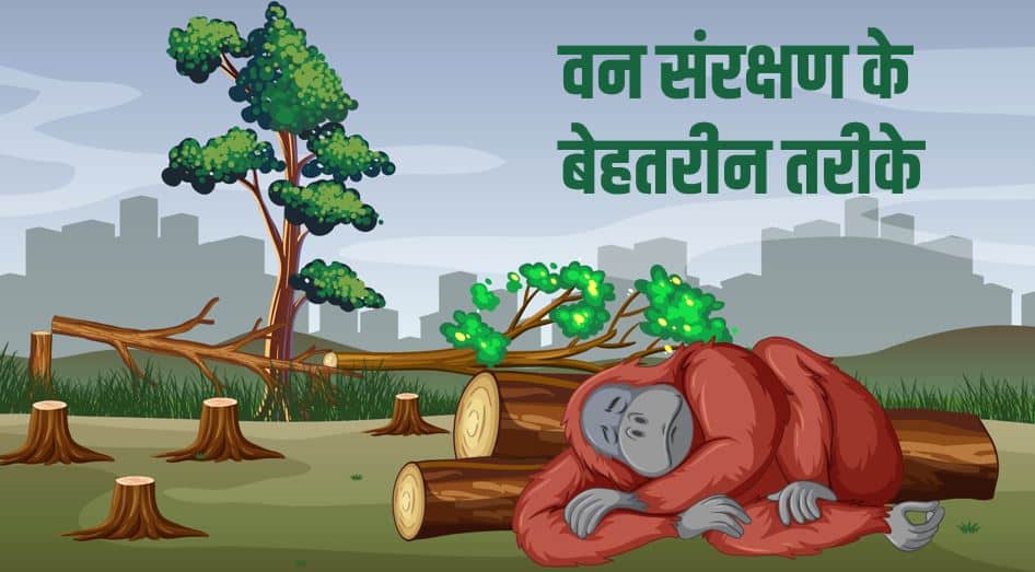वन संरक्षण के 15 बेहतरीन तरीके Best ways to Forest conservation in Hindi