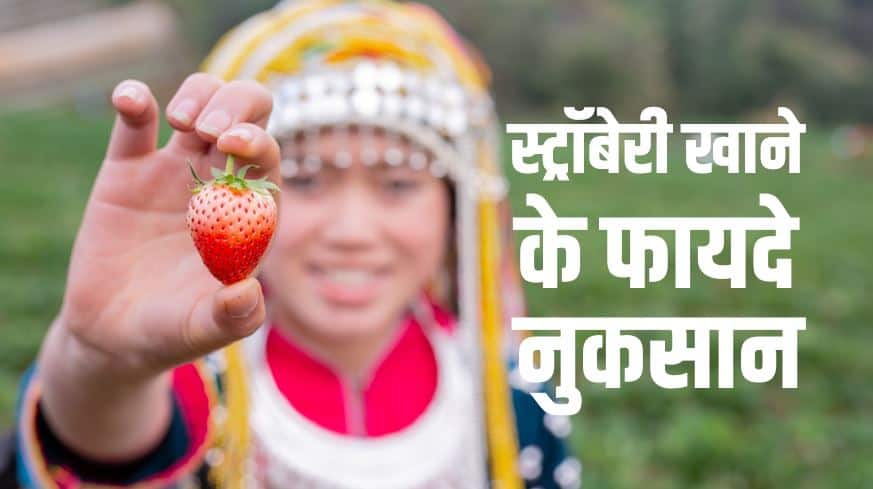 स्ट्रॉबेरी खाने के फायदे नुकसान Strawberry Benefits and Side Effects in Hindi
