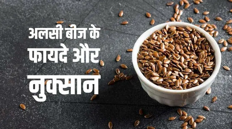 अलसी बीज के फायदे और नुक्सान Flaxseed Benefits and Side Effects in Hindi