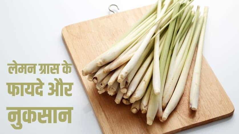 लेमन ग्रास के फायदे और नुकसान Lemon Grass Benefits and Side Effects in Hindi