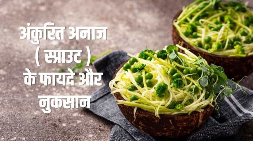 अंकुरित अनाज के फायदे और नुकसान Sprouts Benefits, Side Effects in Hindi