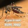 डेंगू बुखार के लक्षण, कारण, उपचार Dengue Fever Causes Symptoms Treatment in Hindi