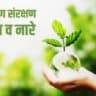 पर्यावरण संरक्षण पर निबंध व नारे Save Environment Essay & Slogans in Hindi