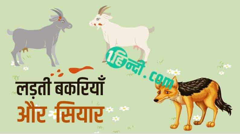 लड़ती बकरियाँ और सियार: पंचतंत्र कहानी Fighting Goats & The Jackal Story in Hindi