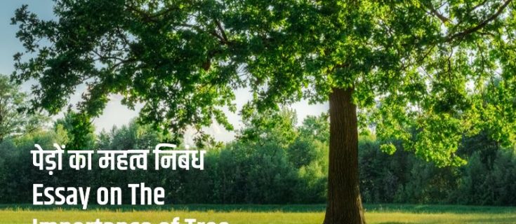 पेड़ों का महत्व निबंध Essay on The Importance of Tree in Hindi