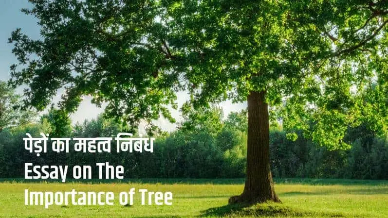 पेड़ों का महत्व निबंध Essay on The Importance of Tree in Hindi