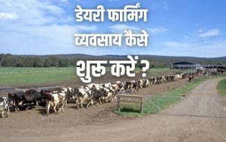 डेयरी फार्मिंग व्यवसाय कैसे शुरू करें? How to Start Dairy Farming Business in Hindi?