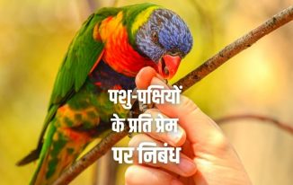 पशु-पक्षियों के प्रति प्रेम पर निबंध Love Towards Animals Birds in Hindi