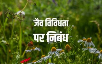 जैव विविधता पर निबंध Essay on Biodiversity in Hindi