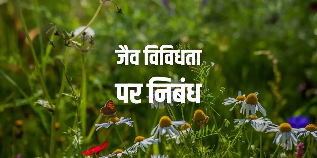 जैव विविधता पर निबंध Essay On Biodiversity In Hindi